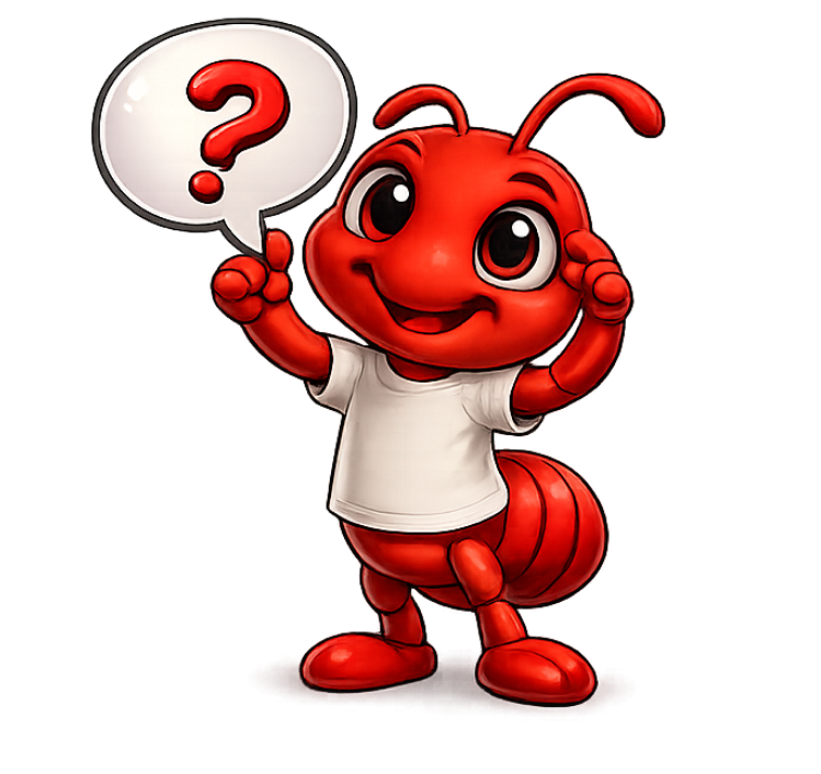 Sıkça Sorulan Sorular